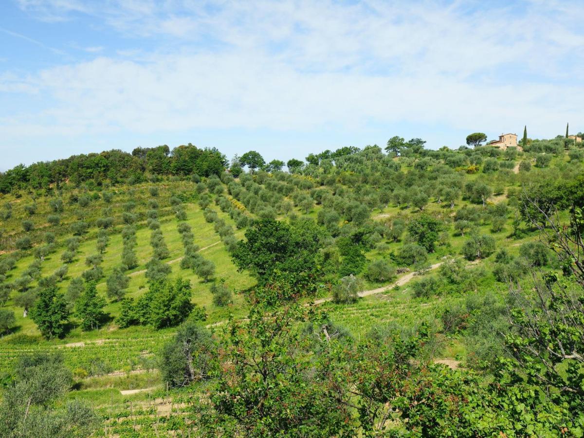 Holiday Home Poggio Velluto By Interhome Seggiano Exterior foto